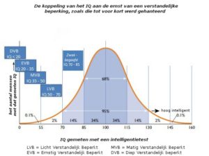 iqverdeling